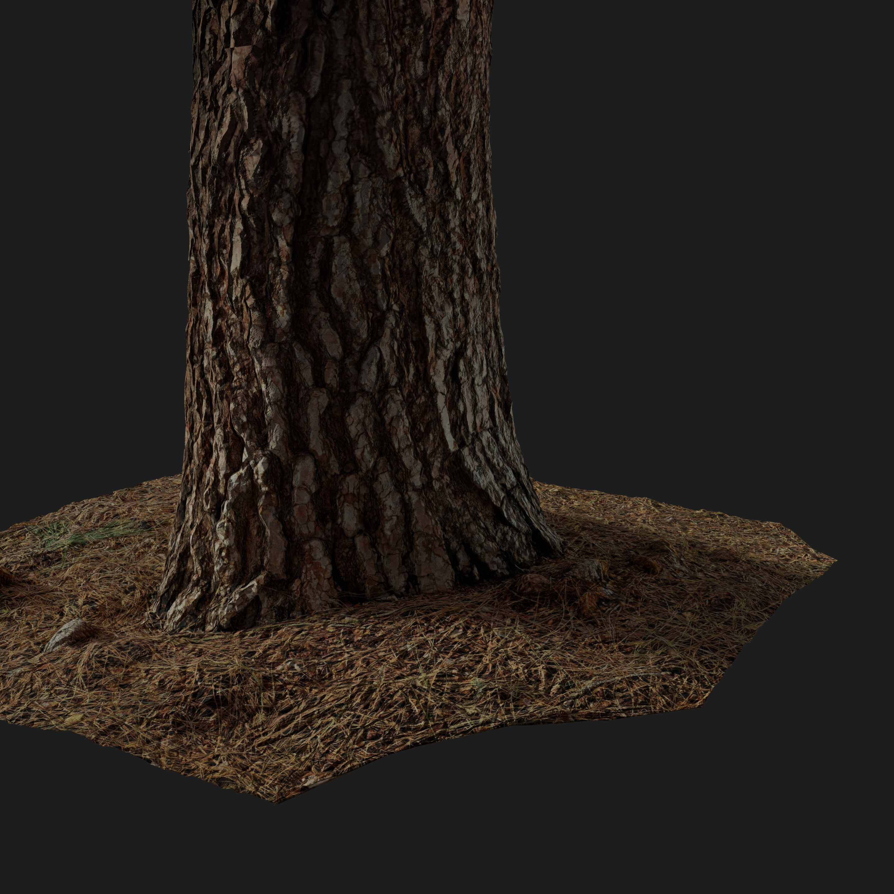 tree base preview image 2